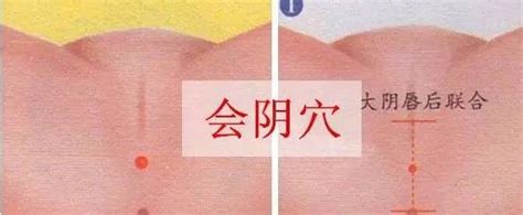 小穴穴|超过 100000 张关于“女孩小穴”和“女孩”的免费图片